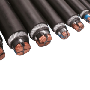 ACL AC Cable